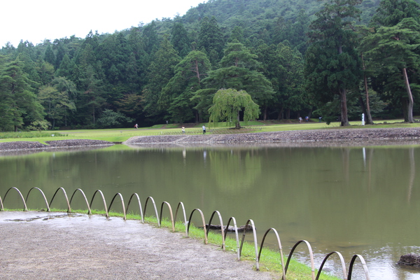 夏の毛越寺「大泉が池」