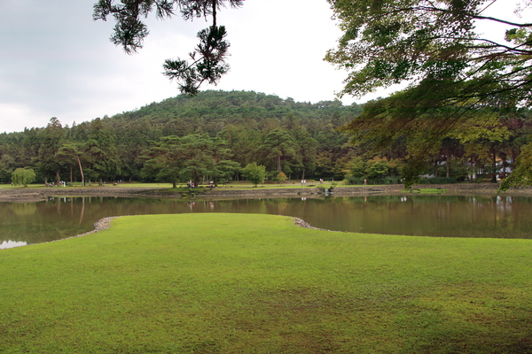 夏の毛越寺「j大泉が池の洲浜付近」/癒し憩い画像データベース
