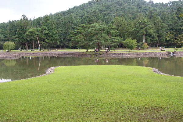 夏の毛越寺「大泉が池」の「洲浜」/癒し憩い画像データベース