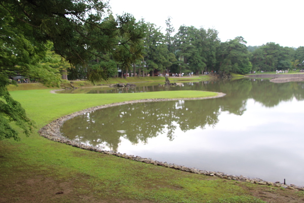 夏の毛越寺「j大泉が池の洲浜付近」
