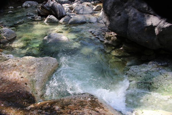温泉が流れる緑苔の岩と沢