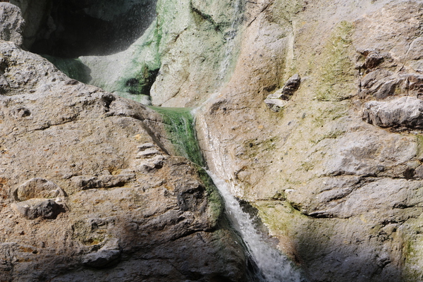川原毛大湯滝「湯滝周辺の緑苔」