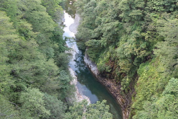 河原湯橋から見た「夏緑の小安峡と川面に映る森影」