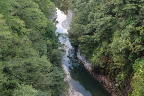 河原湯橋から見た「夏緑の小安峡」