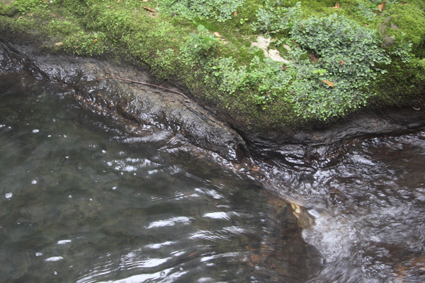 温泉の滝壺から流れる渓流