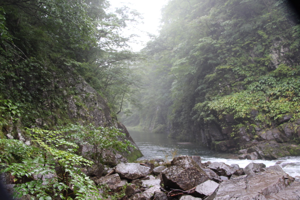 霧の渓谷と渓流