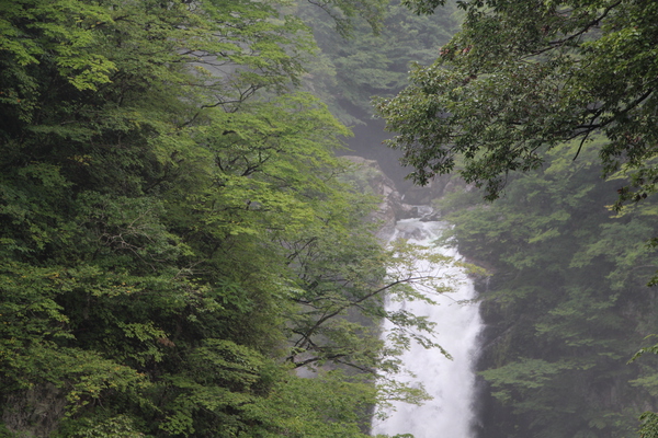 夏の森と秋保大滝