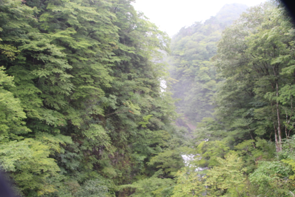 深緑の森に包まれてた秋保大滝の遠望