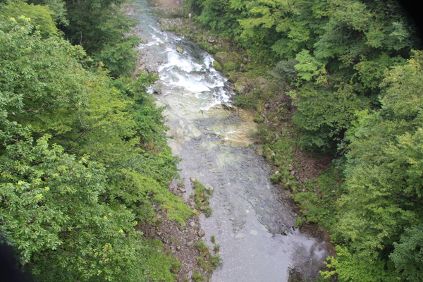 夏緑期の「秋保大滝からの渓流」