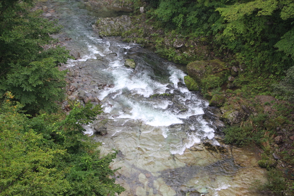 夏緑期の「秋保大滝からの渓流」