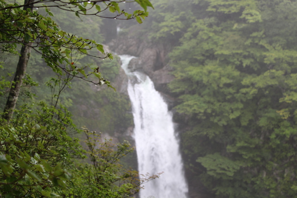 夏・深緑期の「秋保大滝」/癒し憩い画像データベース