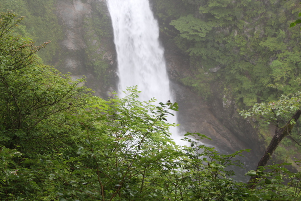 夏の秋保大滝「深緑の木々と滝壺付近」