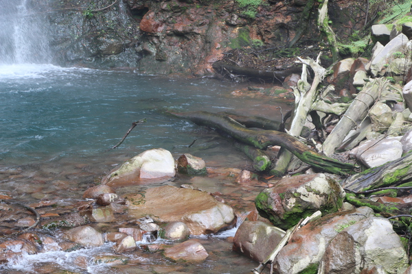 丸尾の滝「滝壺と苔むす流木」