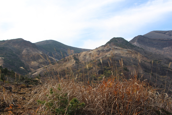 秋のススキと火山高原