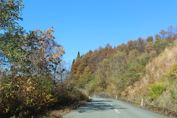 秋の蔵王周辺の車道