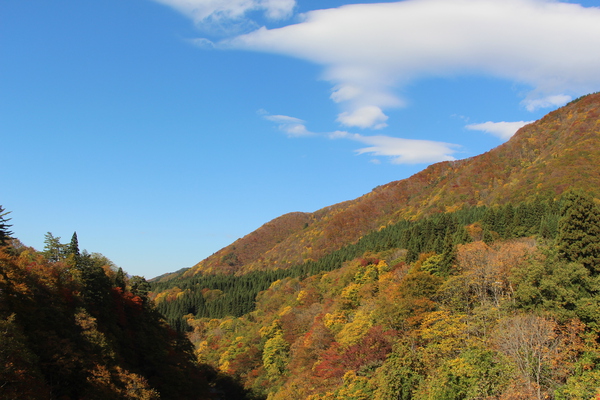 秋の小安峡「上空の白雲と青空」