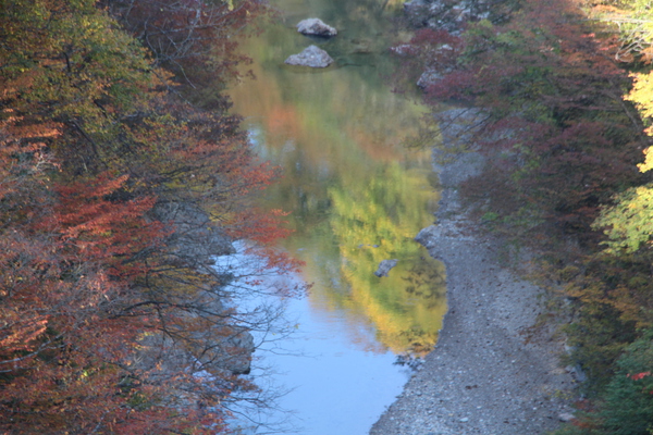 「「秋の小安峡」と「川面に映る黄葉」近景