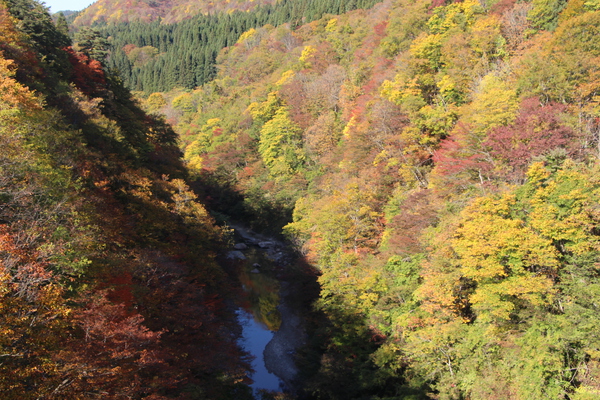 河原湯橋から見た「秋の小安峡」