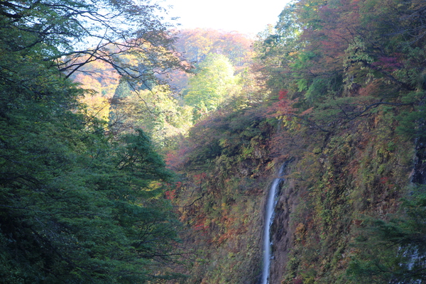 秋の小安峡「岩壁と細い滝」