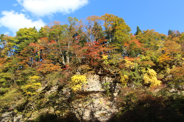 秋の小安峡「周辺の森」