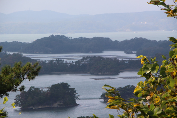 大高森展望台から見た「松島」/癒し憩い画像データベース
