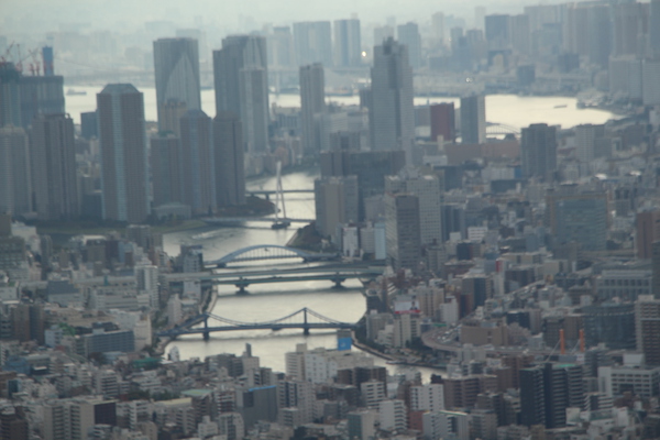 東京スカイツリー「展望台から見た河川と橋群の夕景」