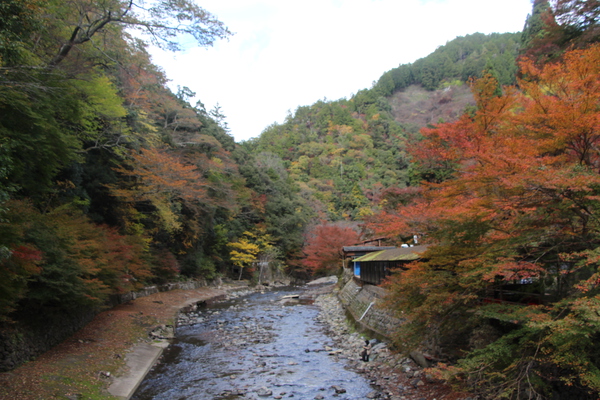 秋の京都「神護寺そばの清滝川」