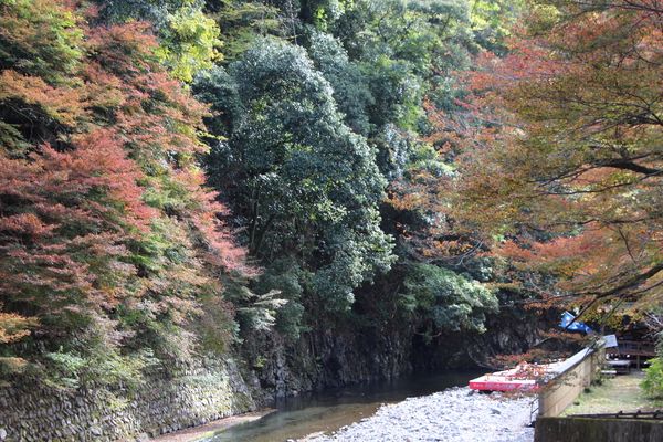 清滝川と秋模様/癒し憩い画像データベース