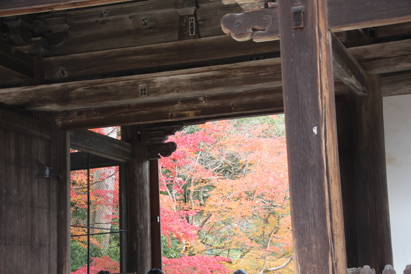 秋の京都・神護寺「楼門と紅葉」
