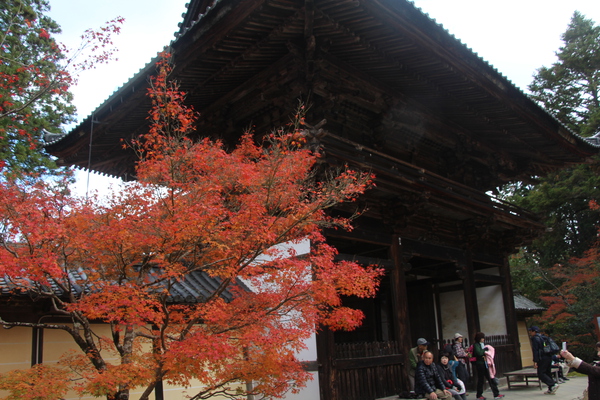 斜めから見た神護寺の楼門/癒し憩い画像データベース