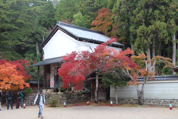 秋の京都・神護寺「白壁の宝蔵」/癒し憩い画像データベース