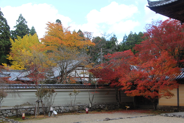 秋の京都・神護寺「書院と楼門」