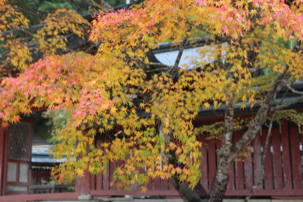 秋の京都・神護寺「和気公霊廟と黄葉」