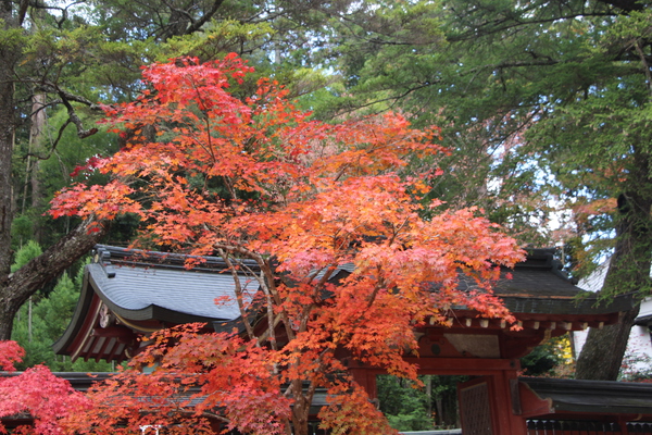 秋の京都・神護寺「和気公霊廟」