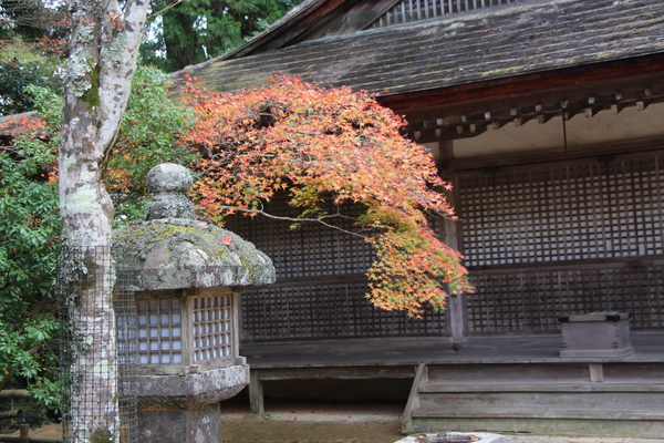 秋の神護寺「大師堂と灯籠」