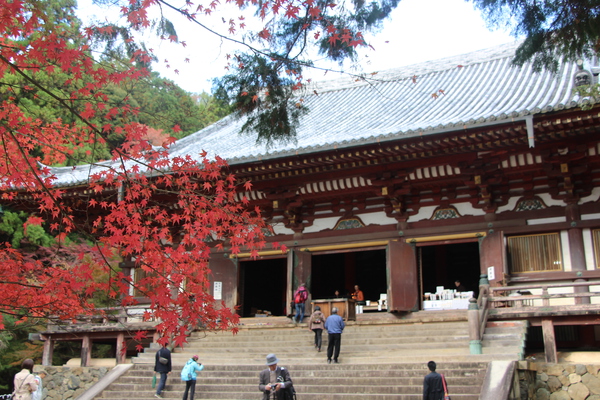 秋の京都・神護寺「金堂」