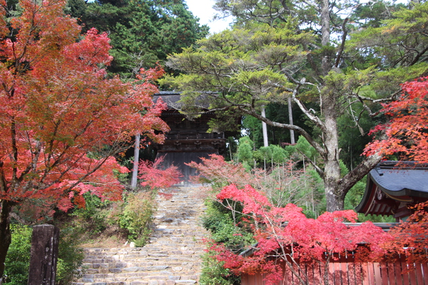 秋の京都・神護寺「鐘楼と和気公霊廟（右下）」