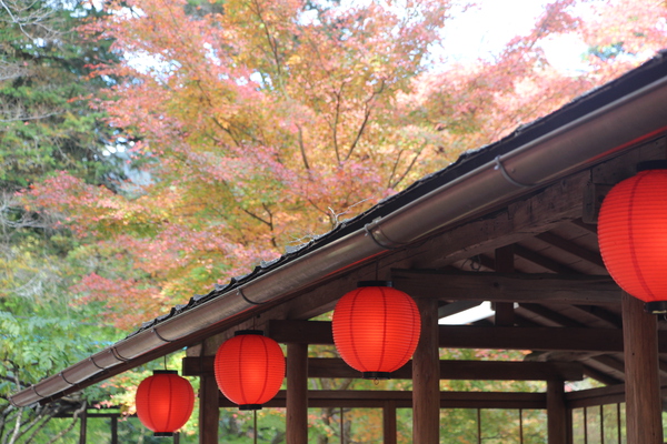 秋の神護寺「参道脇の茶屋風情」