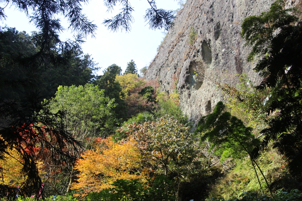 秋模様の森と巨大な岩壁