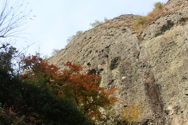 岩壁（礫岩峰）と紅葉