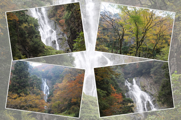 紅葉期の真庭「神庭の滝と森」