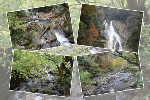 紅葉期の真庭・神庭の滝「滝と渓流」/癒し憩い画像データベース