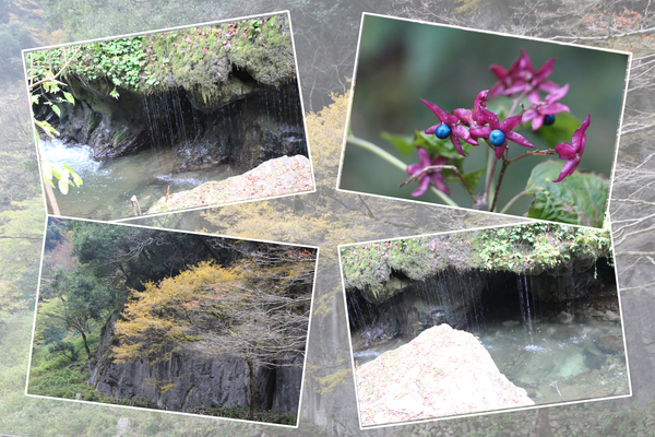 紅葉期の真庭・神庭の滝「玉垂の滝と巨岩」