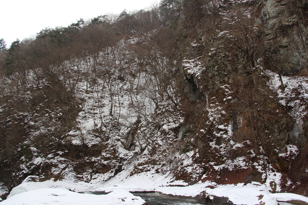 冬の「吹割渓谷の岩壁と冬木立」