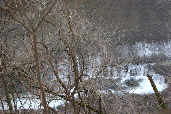 冬の「吹割の滝」全景
