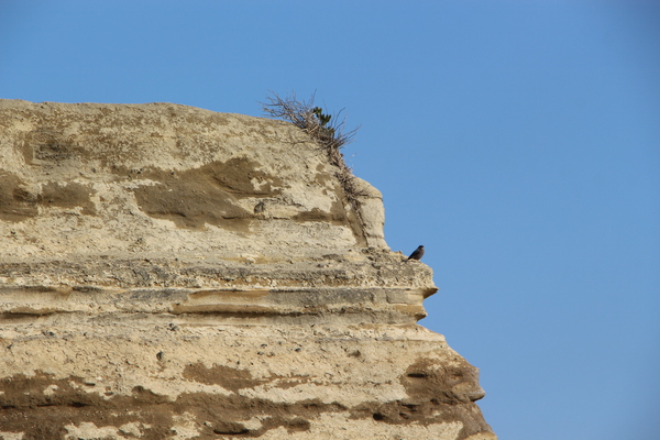 ĸ�ҡ�֢���������ǳ�����Ļ�ȿ�ʪ��/�����Ƥ������ǡ����١���