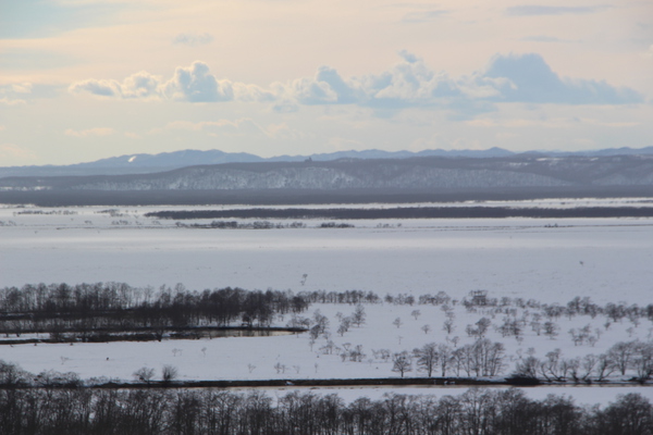 積雪に覆われた釧路湿原