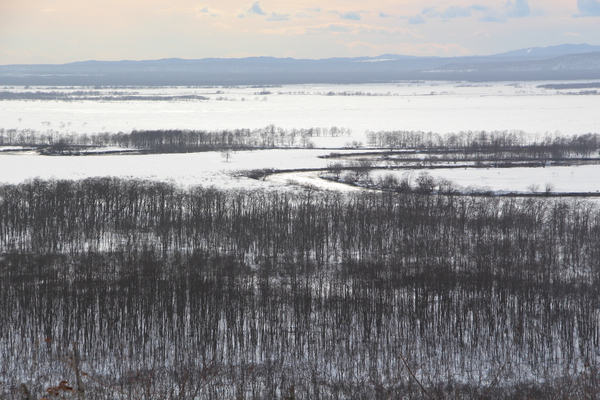 積雪の釧路湿原