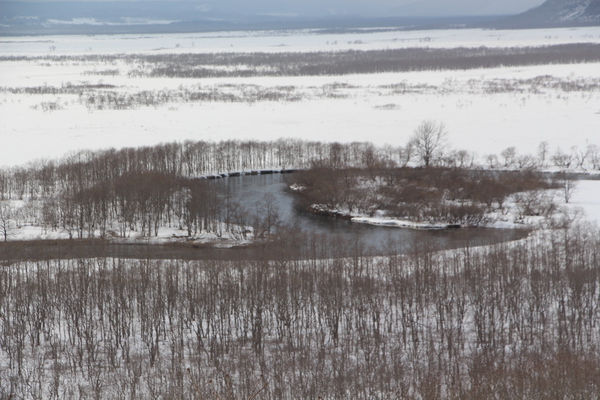 積雪の釧路湿原を蛇行する川