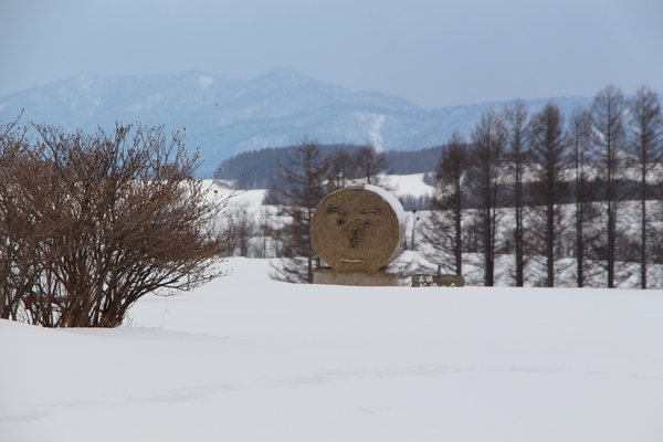 積雪期の美瑛「新栄の丘」とシンボル
